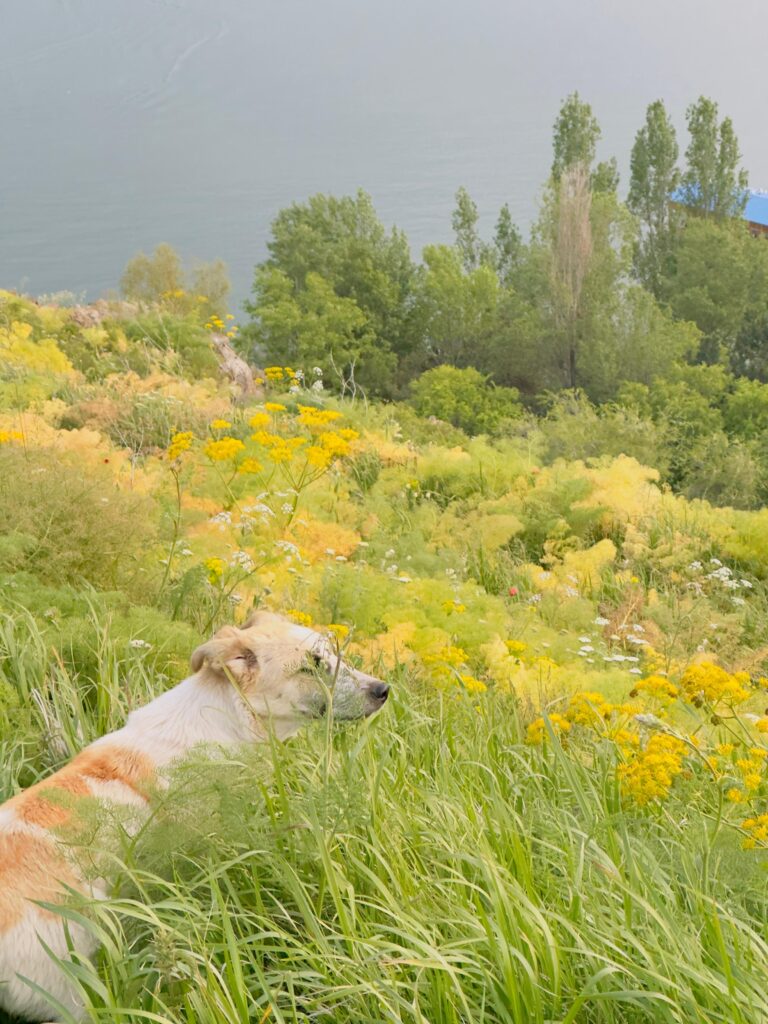 img 20250821 wa0075.jpg